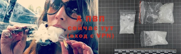 гашик Новокубанск