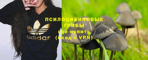 а пвп мука Новозыбков