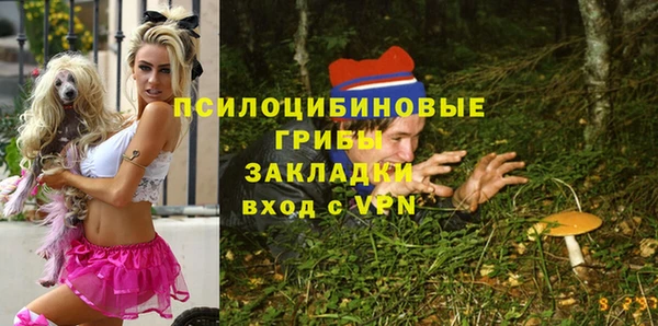 скорость Нязепетровск
