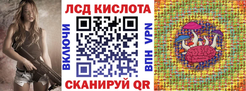 как найти наркотики  Пудож  Марки NBOMe 1,8мг 
