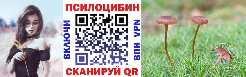 Галлюциногенные грибы Magic Shrooms  Пудож 